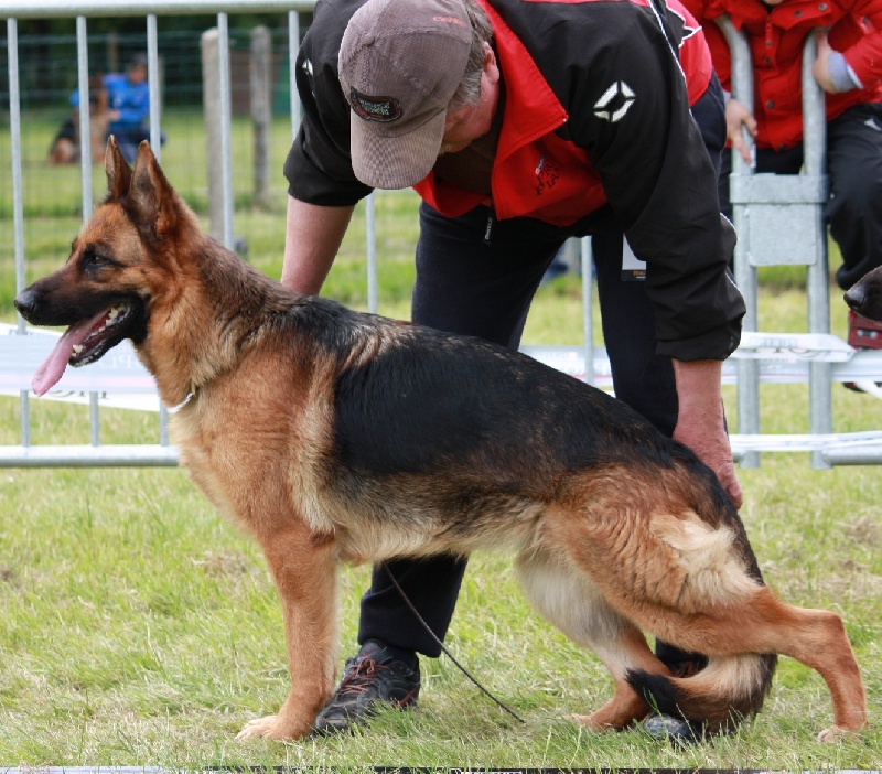 Bess de Run an Faouët