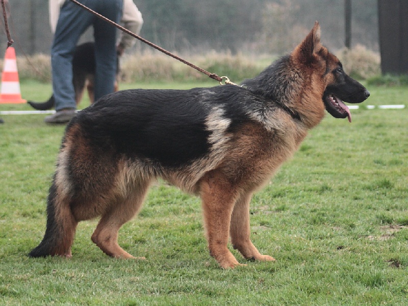 Huxya de Run an Faouët