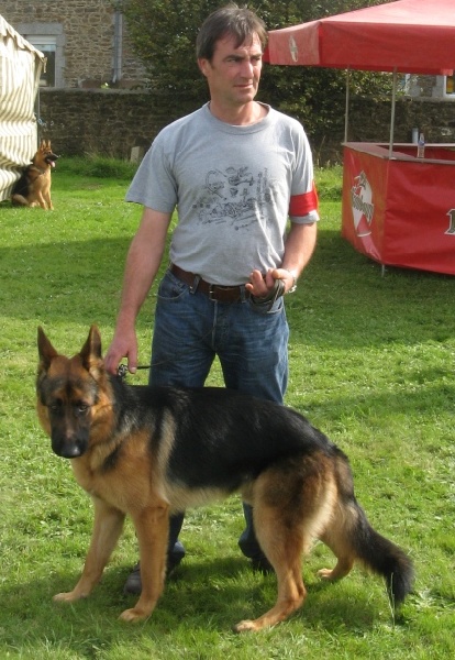 Baloo de Run an Faouët