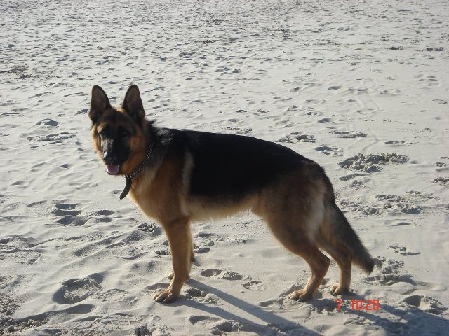 Bako de Run an Faouët